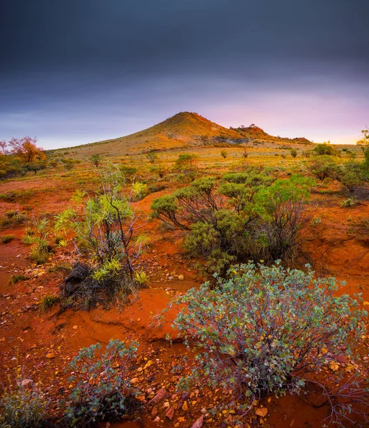 アリススプリングス オーストラリア 自然の風光明媚なビュー — ストック写真