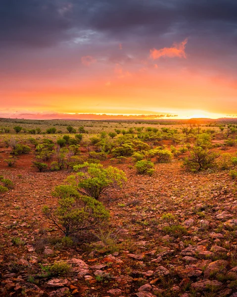 Alice Springs Austrália Vista Panorâmica Natureza — Fotografia de Stock