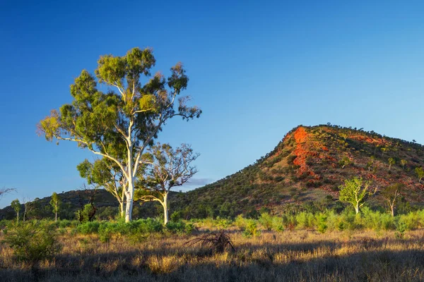 Nascer Sol Perto Alice Springs Austrália — Fotografia de Stock