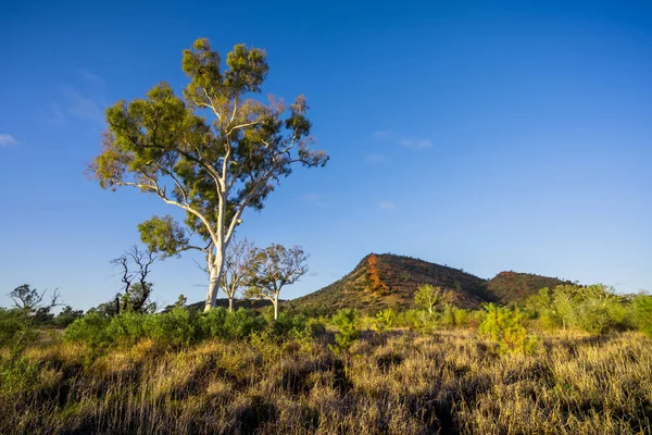 Alice Springs Australia Vista Panoramica Sulla Natura — Foto Stock