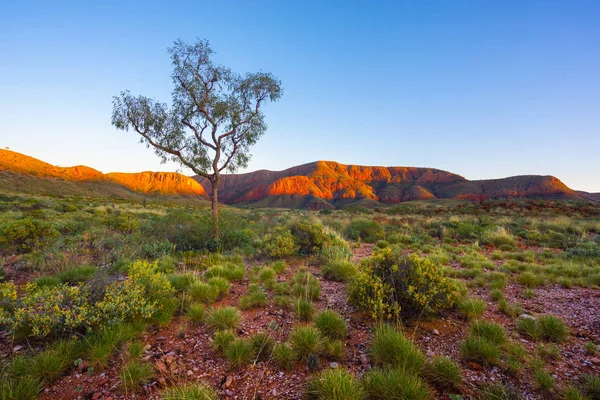 Ormiston Pund Northern Territory — Stockfoto