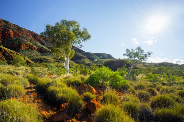 Ormiston Pound Northern Territory — Stock Photo, Image