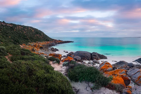 Dolphin Bay Australia Południowa — Zdjęcie stockowe