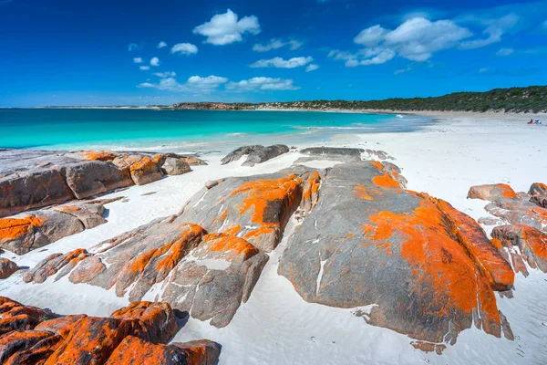 Dolphin Bay Península Yorke Austrália Sul — Fotografia de Stock