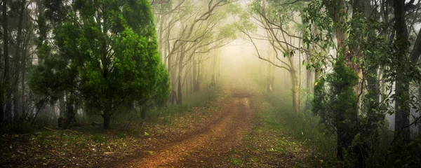 Adelaide Hills Australia Meridionale — Foto Stock