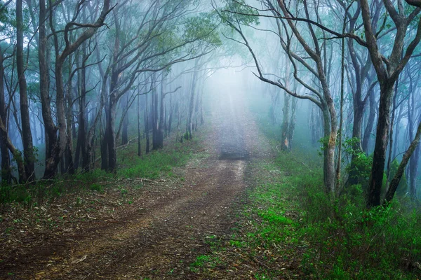 Adelaide Hills South Australia — Stockfoto