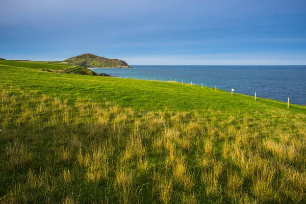 Victor Harbor Australia Południowa — Zdjęcie stockowe