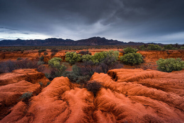 Flinders Ranges in outback Australia
