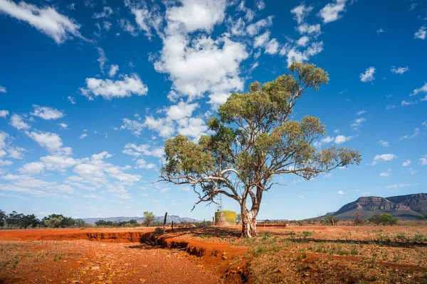 Flinders Κυμαίνεται Outback Αυστραλία — Φωτογραφία Αρχείου