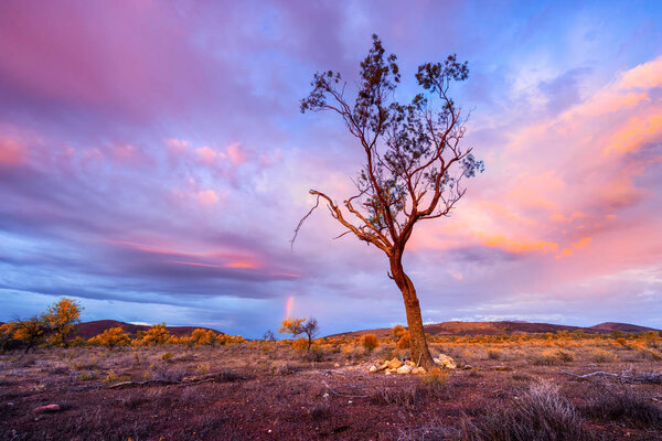 south australia nature scenic view