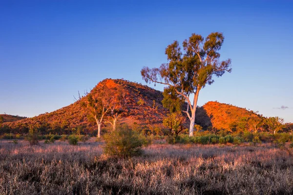 Salida Del Sol Cerca Alice Springs Australia Imagen De Stock