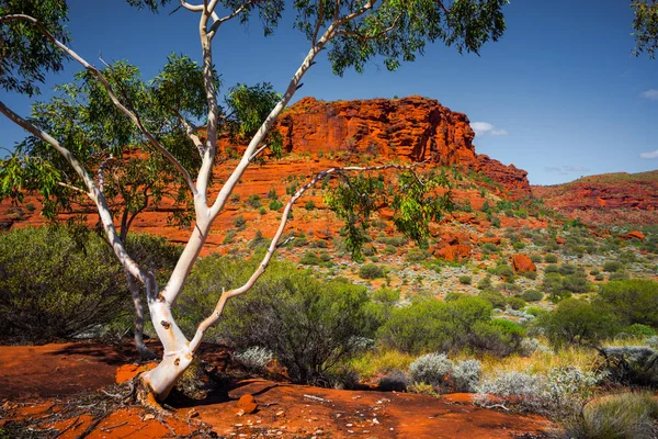 Hermosa Naturaleza Paisaje Australiano Vista Panorámica Imagen De Stock
