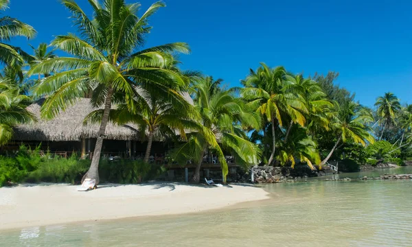 Ilha tropical com praia de areia — Fotografia de Stock