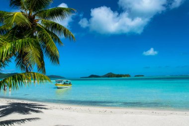 Bora bora tropikal plaj