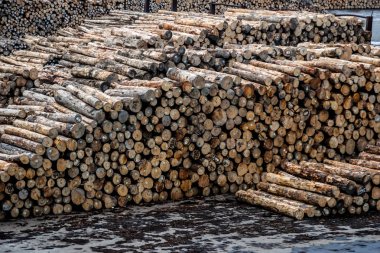 günlüğe kaydedilen ağaç gövdeleri yığını