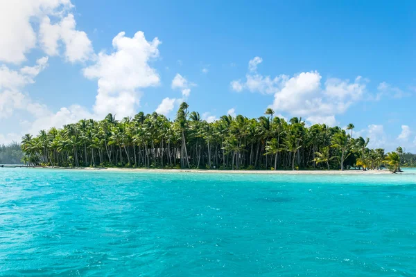 Bora bora tropikal plaj