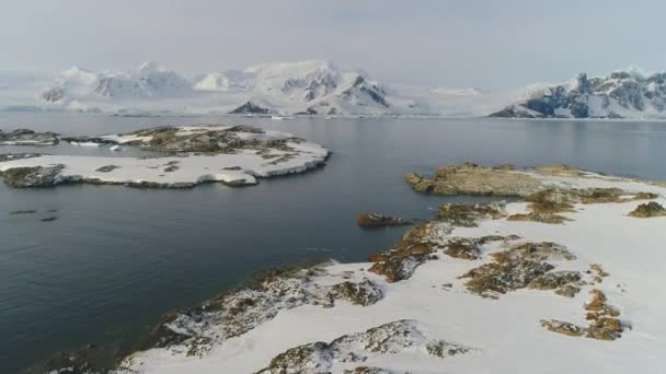 Antarctica wilde natuur water oppervlakte luchtfoto — Stockvideo