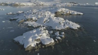 Slow-motion aerial flight over penguins on a snow island.