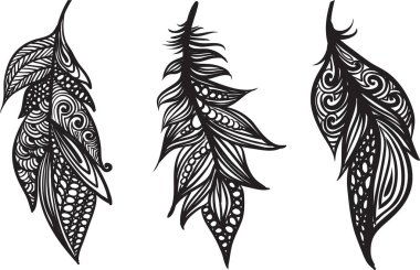 Dekoratif tüyler kümesi