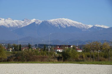 Alphonse'un park
