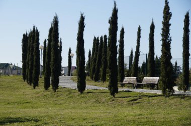 Alphonse'un park