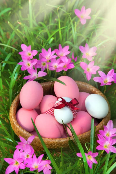 Easter eggs in green grass — Stock Photo, Image