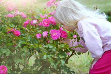 Küçük kız yazın güllerle dışarıda