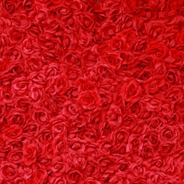 çiçekler arka kapatmak 