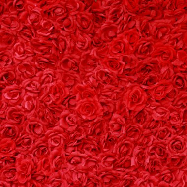 çiçekler arka kapatmak 