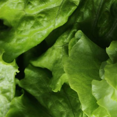 Stüdyo yansıma yeşil salata doku seçilen odak.