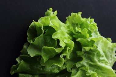 Stüdyo yansıma yeşil salata doku seçilen odak.