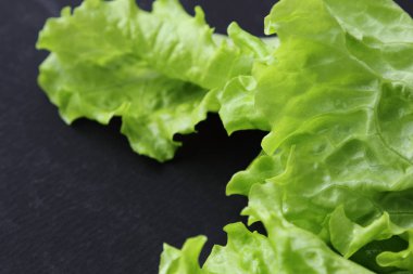 Stüdyo yansıma yeşil salata doku seçilen odak.