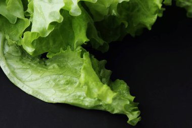 Stüdyo yansıma yeşil salata doku seçilen odak.