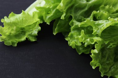 Stüdyo yansıma yeşil salata doku seçilen odak.