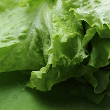 Stüdyo yansıma yeşil salata doku seçilen odak.