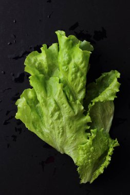 Stüdyo yansıma yeşil salata doku seçilen odak.