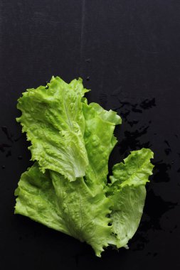 Stüdyo yansıma yeşil salata doku seçilen odak.