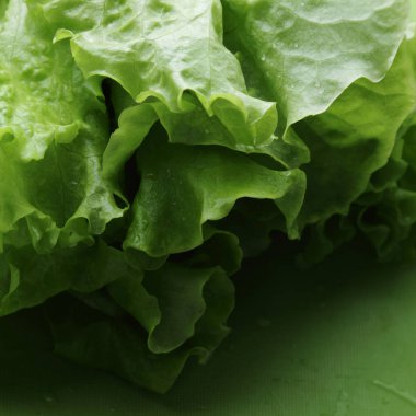 Stüdyo yansıma yeşil salata doku seçilen odak.