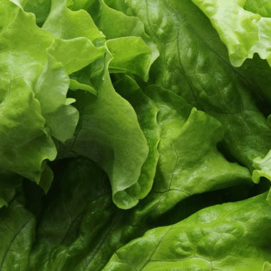 Stüdyo yansıma yeşil salata doku seçilen odak.