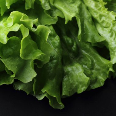 Stüdyo yansıma yeşil salata doku seçilen odak.