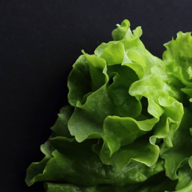 Stüdyo yansıma yeşil salata doku seçilen odak.