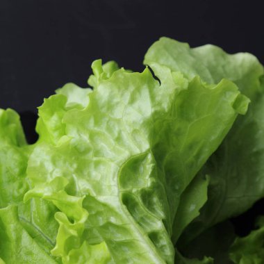 Stüdyo yansıma yeşil salata doku seçilen odak.