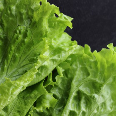 Stüdyo yansıma yeşil salata doku seçilen odak.