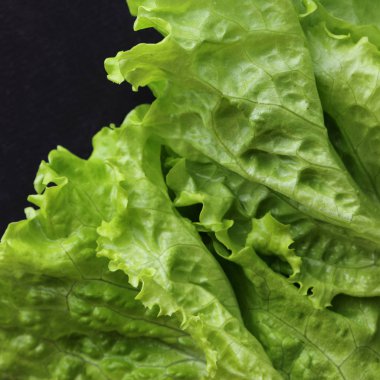 Stüdyo yansıma yeşil salata doku seçilen odak.