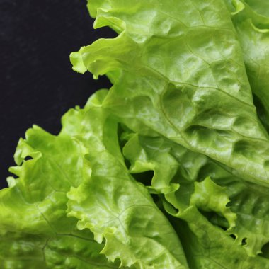 Stüdyo yansıma yeşil salata doku seçilen odak.