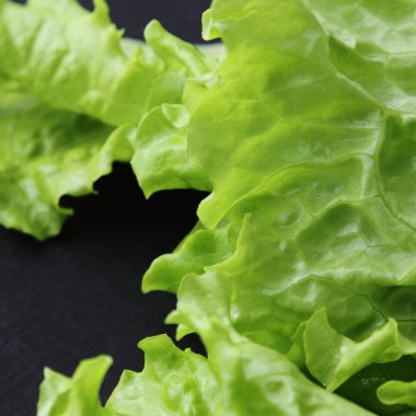 Stüdyo yansıma yeşil salata doku seçilen odak.