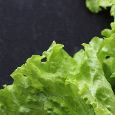 Stüdyo yansıma yeşil salata doku seçilen odak.