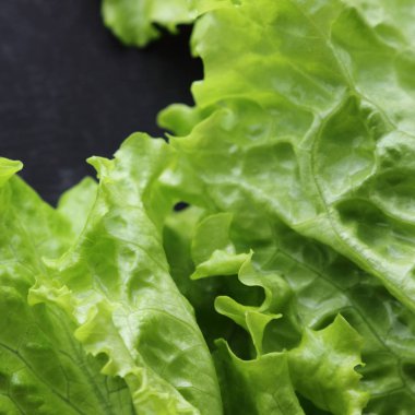 Stüdyo yansıma yeşil salata doku seçilen odak.