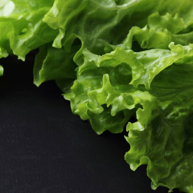 Stüdyo yansıma yeşil salata doku seçilen odak.