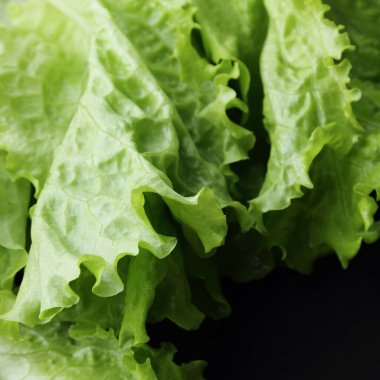 Stüdyo yansıma yeşil salata doku seçilen odak.